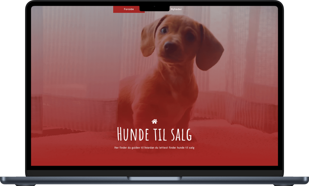 Hunde til Salgs site on a laptop.